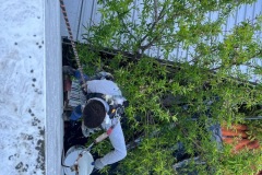 TRABAJOS VERTICALES: REPARACION Y PINTADO DE FACHADA 